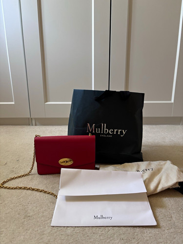 Mulberry small darley hibiscus - mulberry,